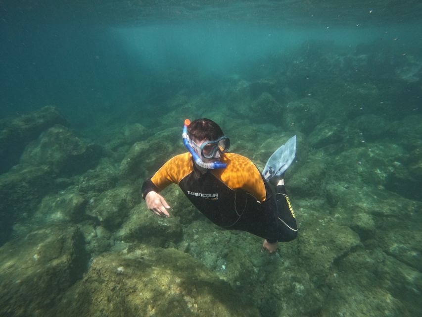 Tenerife: Puerto Colon Snorkel Safari by Speed Boat - The equipment and safety briefing