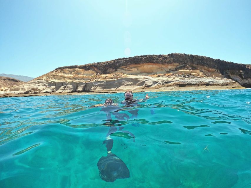 Tenerife: Puerto Colon Snorkel Safari by Speed Boat - Snorkeling in the secluded bay