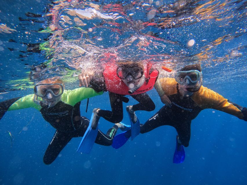 Tenerife: Puerto Colon Snorkel Safari by Speed Boat - Practical tips for a smoother outing