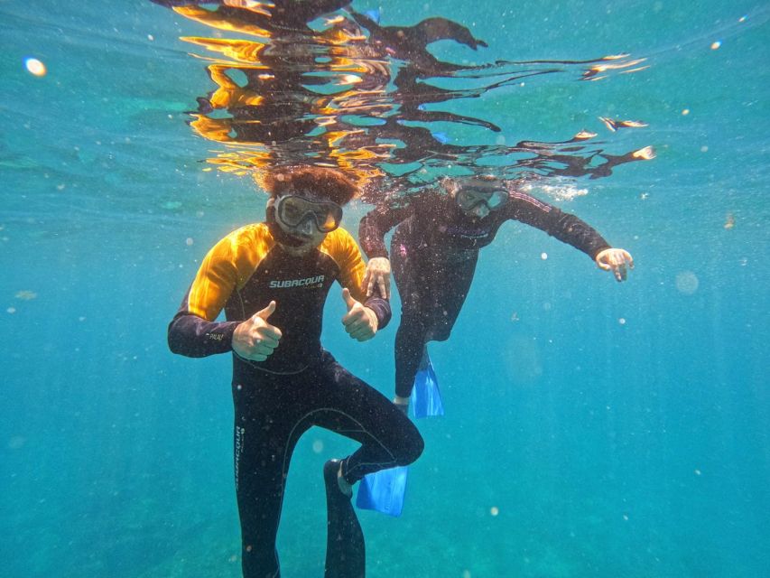 Tenerife: Puerto Colon Snorkel Safari by Speed Boat - A 15-minute speedboat ride along Tenerife’s south coast