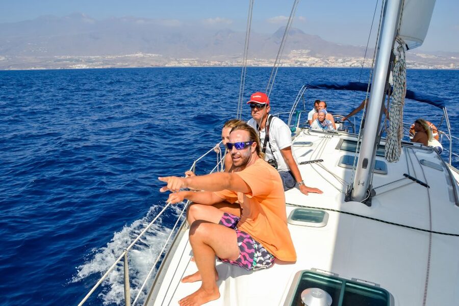 Tenerife: Sailboat Tour Whale Watching Food and Snorkeling - Watching pilot whales, dolphins, and turtles