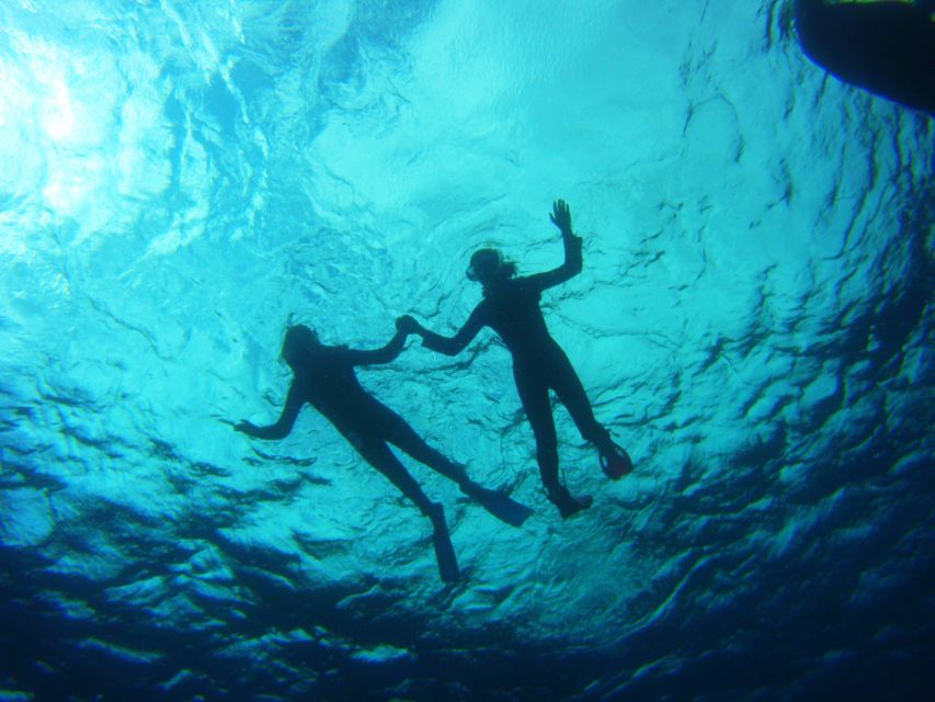 Tenerife: Snorkel with Turtles - What makes the small group useful
