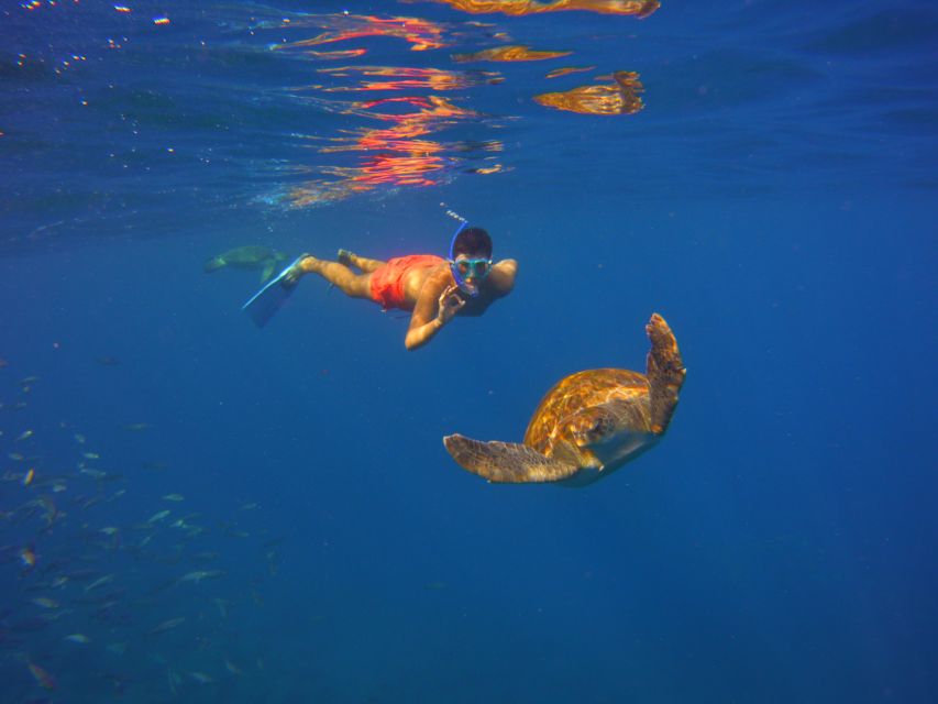 Tenerife: Snorkel with Turtles - Photos are included, but ask what they cover