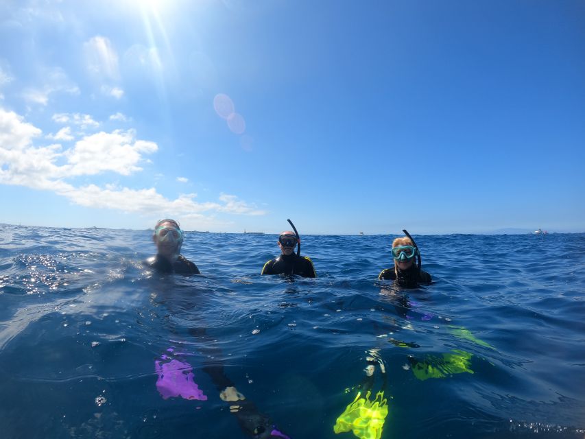 Tenerife Snorkeling boat trip in a Turtle Habitat - Who should book it, and who should think twice