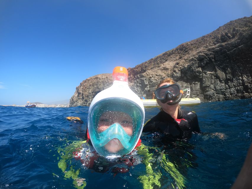 Tenerife Snorkeling boat trip in a Turtle Habitat - A Tenerife snorkeling trip with real wildlife, not a staged attraction