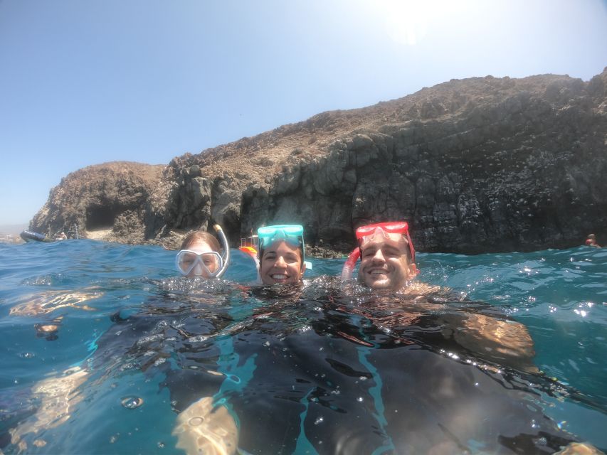 Tenerife Snorkeling boat trip in a Turtle Habitat - What the $42 price includes