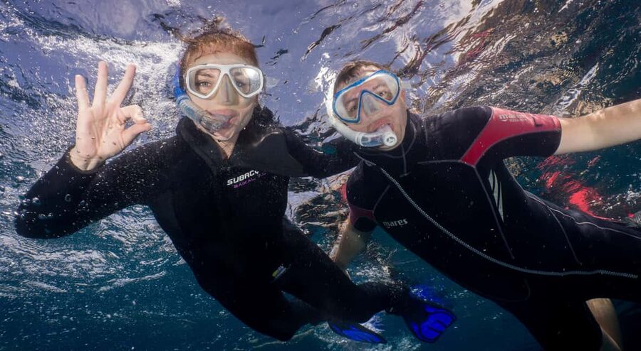 Tenerife: Snorkeling to look for Turtles and Rays - A short sea outing with a quick ride to Palm Mar