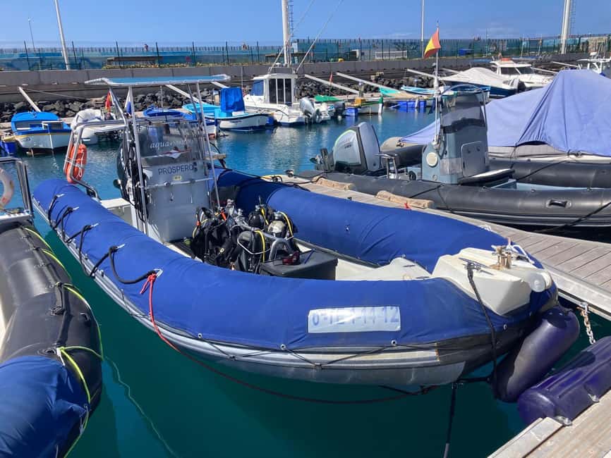 Tenerife: Snorkeling to look for Turtles and Rays - Meeting points need a quick check