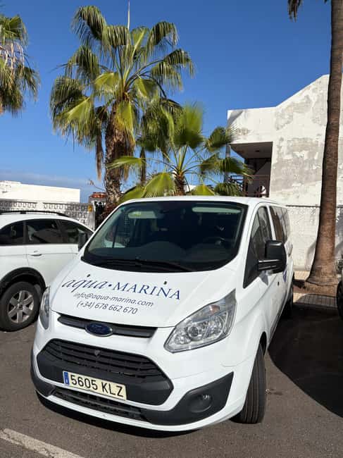 Tenerife: Snorkeling to look for Turtles and Rays - How to prepare for a better outing