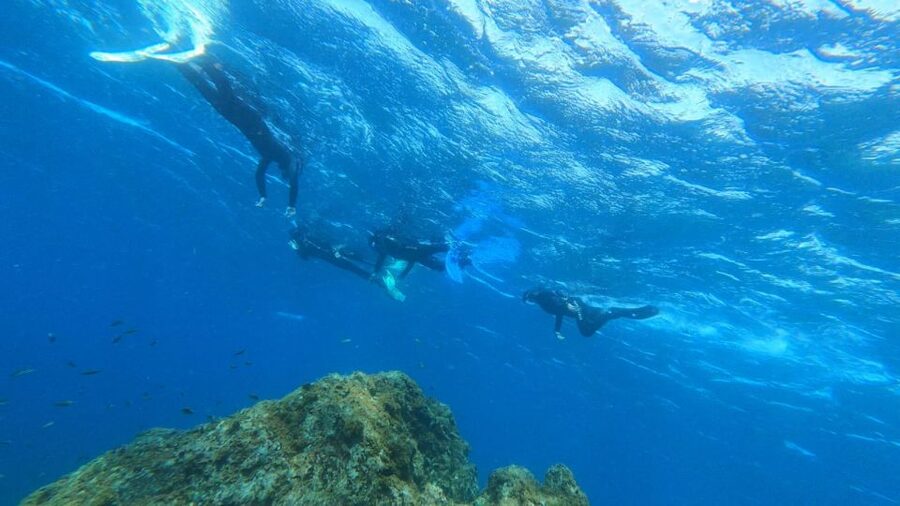 Tenerife: Snorkeling Tour in a Marine Protected Area - Following the reef for 50 minutes