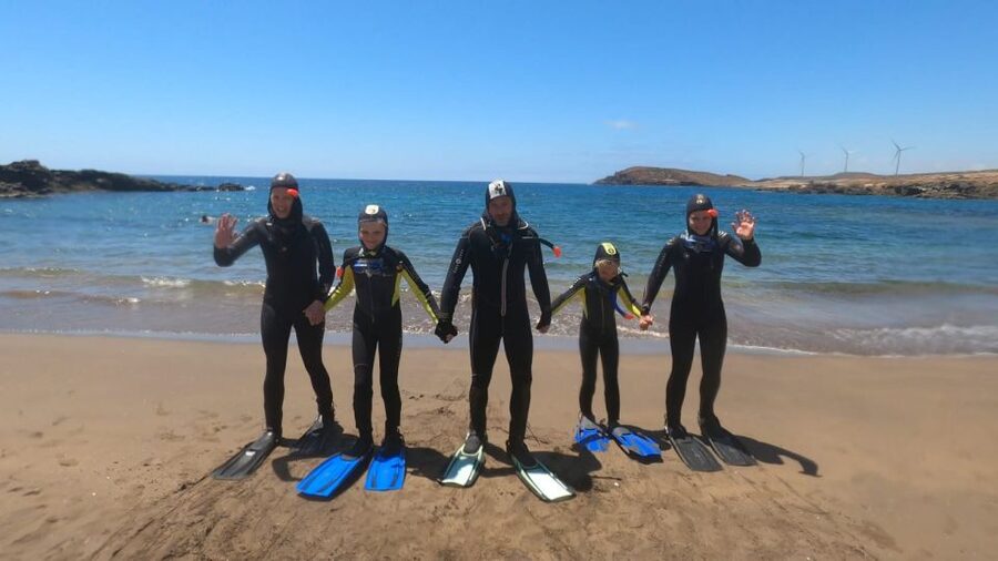 Tenerife: Snorkeling Tour in a Marine Protected Area - Looking for turtles without chasing them