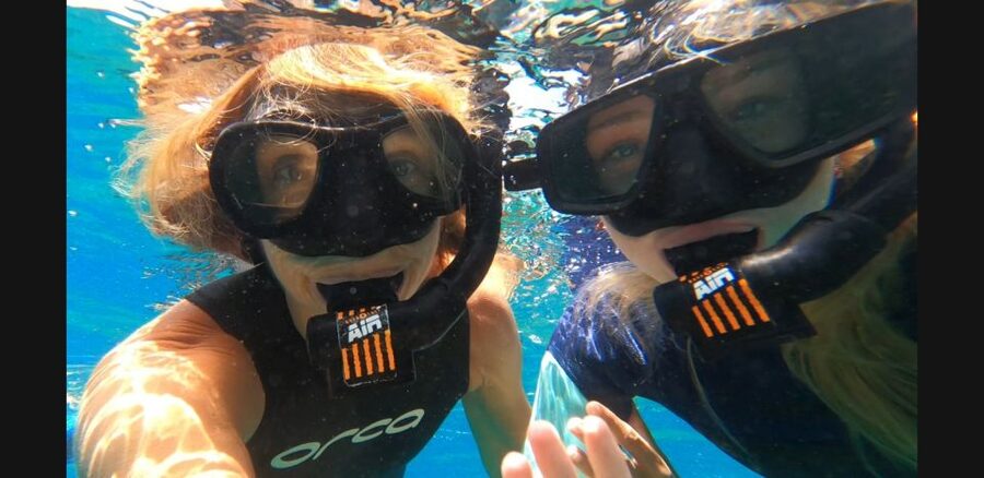 Tenerife: Snorkeling Tour in a Marine Protected Area - Arriving at the beach and meeting the guides