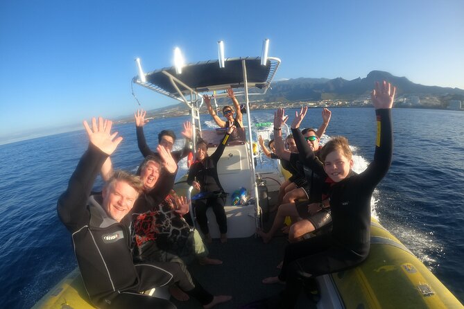 Tenerife Snorkeling Tour in turtle habitat - What this Tenerife turtle snorkeling trip is really like
