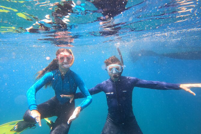 Tenerife Snorkeling Tour in turtle habitat - The crew and the care factor