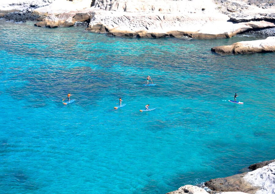 TENERIFE SUR | unforgettable SUP - SNORKELING EXPERIENCE - Practical Details Before You Go