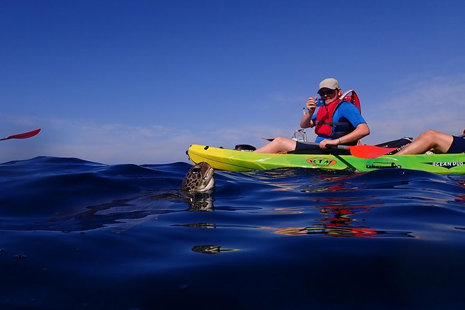 Tenerife: Turtle & Dolphin Kayak Tour with Snorkel & Wetsuit - The equipment makes first-time kayaking easier