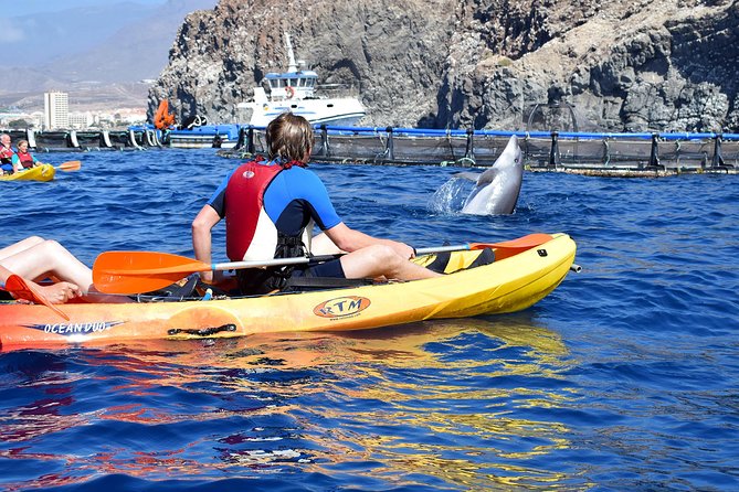 Tenerife: Turtle & Dolphin Kayak Tour with Snorkel & Wetsuit - Choosing the right weather and time
