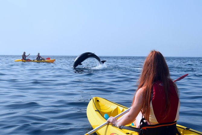 Tenerife: Turtle & Dolphin Kayak Tour with Snorkel & Wetsuit - Is $42.33 good value?