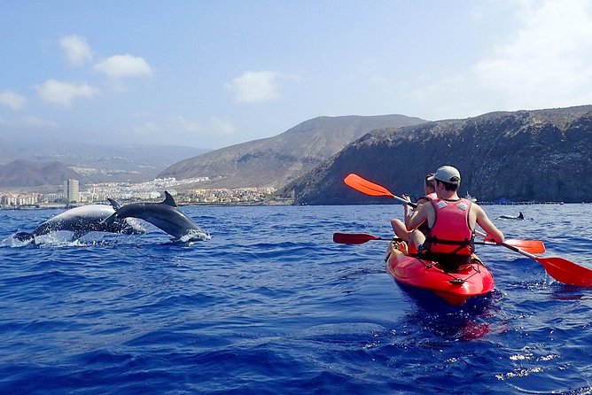 Tenerife: Turtle & Dolphin Kayak Tour with Snorkel & Wetsuit - What the three-hour route is really like