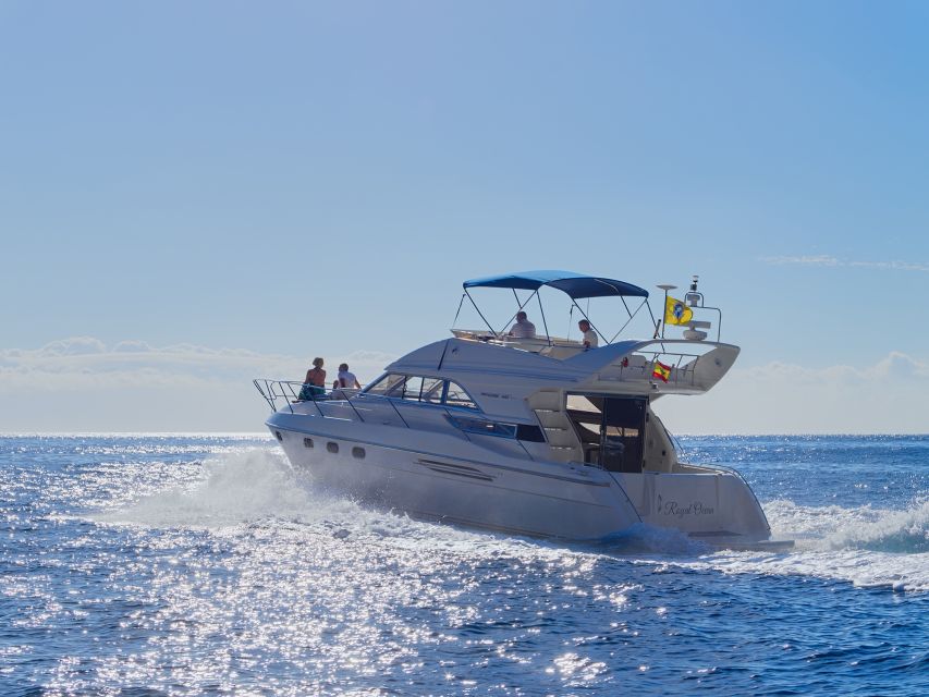 Tenerife: Whales and Snorkeling Tour on a Luxury Yacht - Tapas, drinks, and room to relax