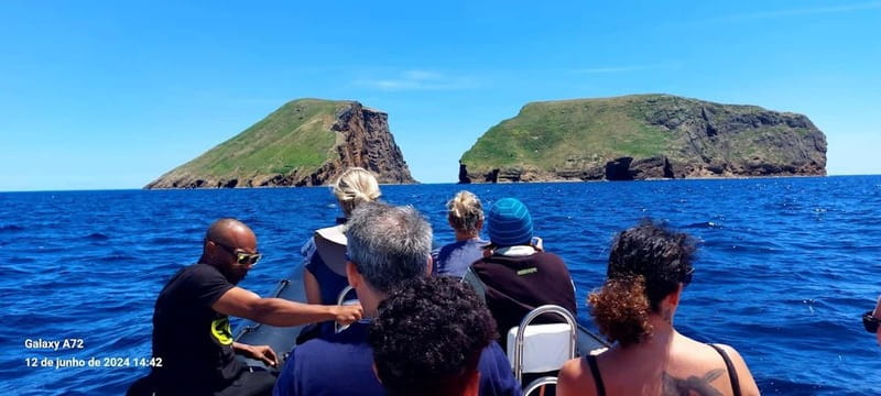 Terceira Island: Ilhéu das Cabras Boat Tour + Snorkeling - Should you book the Ilhéu das Cabras trip?