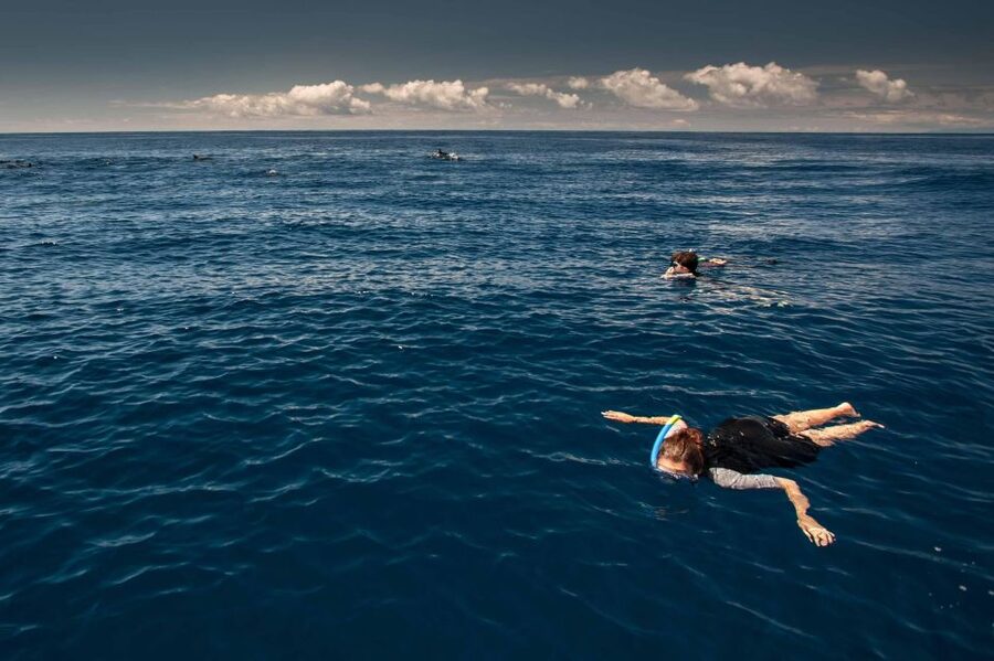 Terceira Island: Snorkeling Wildlife | Protected Areas - Key points to know before you book