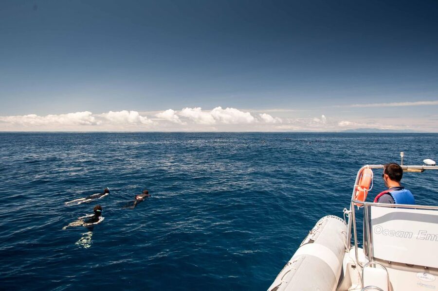 Terceira Island: Snorkeling Wildlife | Protected Areas - What the two-hour Terceira outing is really like