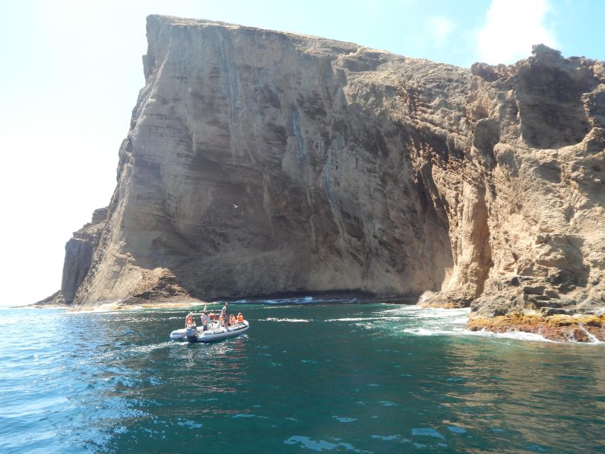 Terceira Island: Snorkeling Wildlife | Protected Areas - Is $53 a fair price for two hours?
