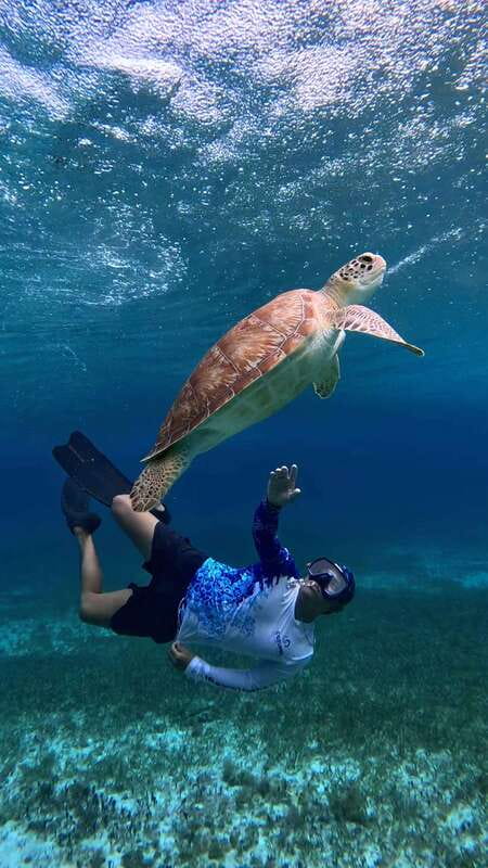 The Cozumel Turtle Sanctuary Snorkel Tour - Who will enjoy this tour most