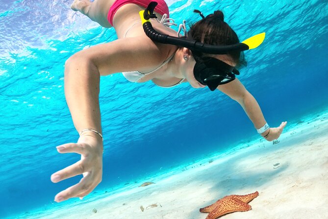 The Cozumel Turtle Sanctuary Snorkel Tour - What this Cozumel snorkel trip is really like