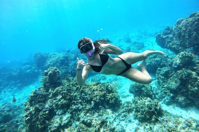 The Cozumel Turtle Sanctuary Snorkel Tour - The turtle area: beautiful, but not a guarantee