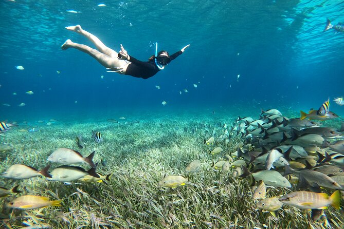 The Cozumel Turtle Sanctuary Snorkel Tour - The ride back and the afternoon sunset option