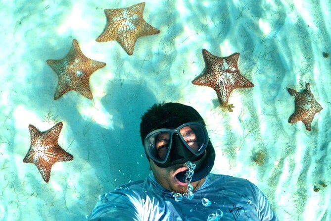 The Cozumel Turtle Sanctuary Snorkel Tour - Who will enjoy this outing most