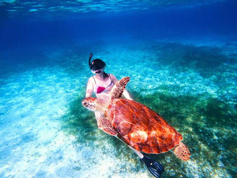 The Cozumel Turtle Sanctuary Snorkel Tour - What to bring and what to leave behind