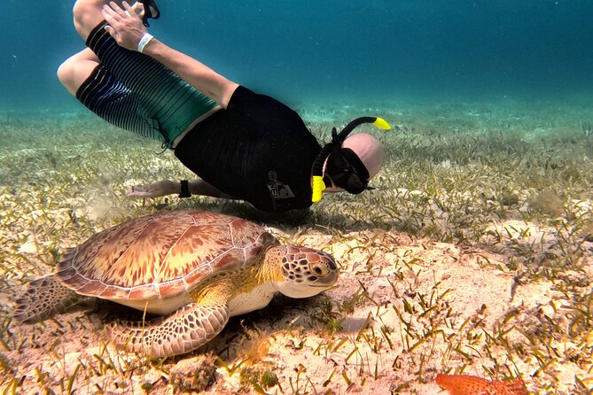 The Cozumel Turtle Sanctuary Snorkel Tour - Meeting the boat in Cozumel