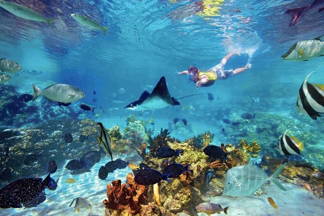 The great snorkeling adventure at the Riviera Maya private tour - Local food after a full morning in the water