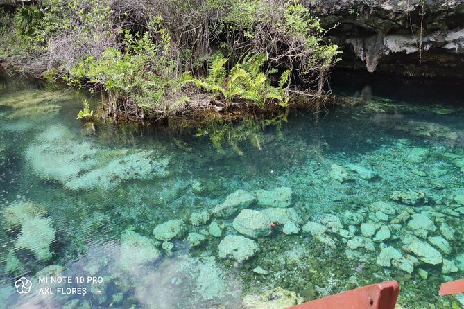 The great snorkeling adventure at the Riviera Maya private tour - Is $513.17 per person a fair price?