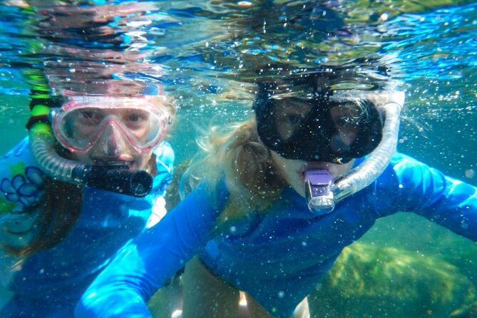 The great snorkeling adventure at the Riviera Maya private tour - Who should book this Riviera Maya tour?