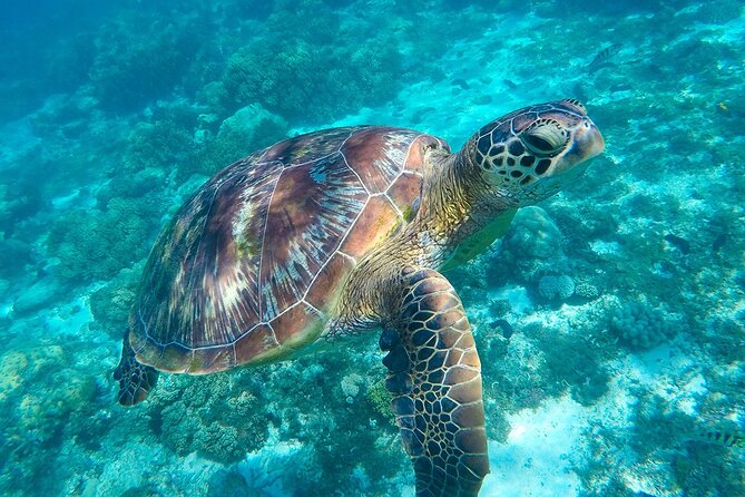 The great snorkeling adventure at the Riviera Maya private tour - Cenote Santa Cruz and the underground cave