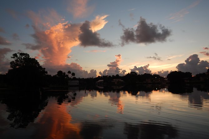 The 'OG' Manatee Snorkel Tour with In-Water Guide/Photographer - What the $76.07 price buys you