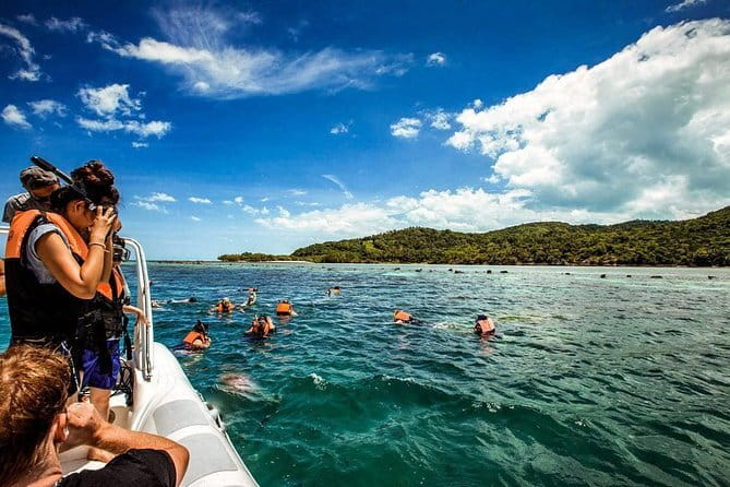 The Pigs Island snorkeling trip from Koh Samui by Speedboat - Two snorkeling sessions, not an all-day water program