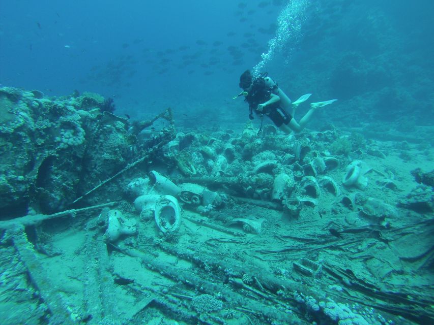 Tiran Island: Full-day Snorkeling, Diving Boat Trip - What your $76 buys on the Red Sea