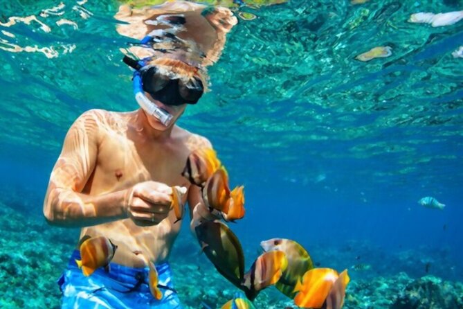 Tiran Island Snorkeling Excursion - Lunch, drinks, and time between swims