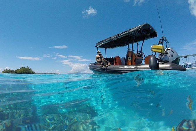 Tohora Bora Bora Snorkeling Lagoon Tours - Key points to know before booking
