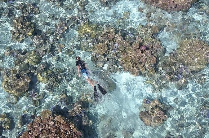 Tohora Bora Bora Snorkeling Lagoon Tours - The guides make a real difference