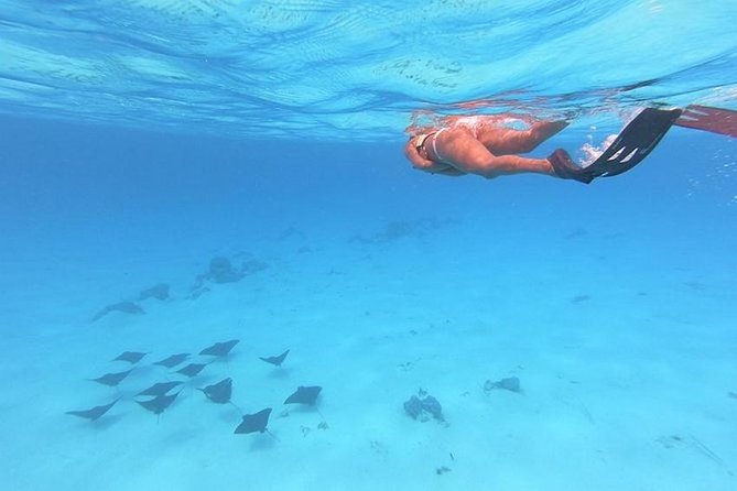 Tohora Bora Bora Snorkeling Lagoon Tours - The boat ride and meeting arrangements
