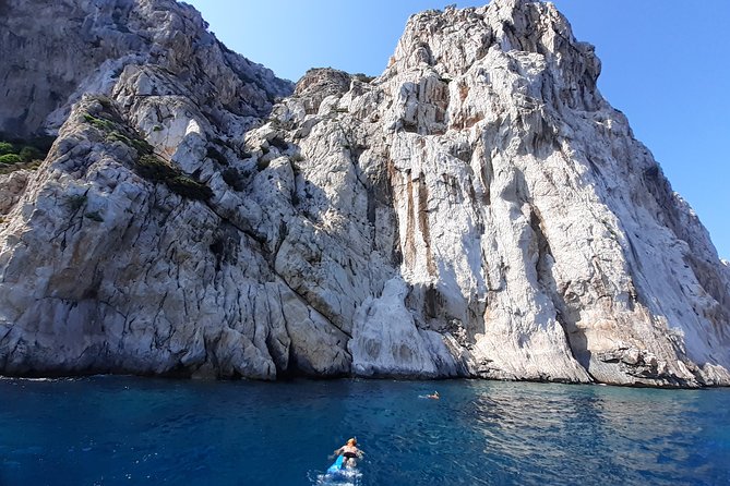 Tour to Figarolo Island with the possibility to observe dolphins - Capo Figari, Cala Moresca, and the second stop