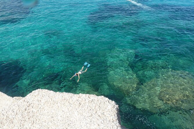 Tour to Figarolo Island with the possibility to observe dolphins - Leaving Olbia across the inland gulf