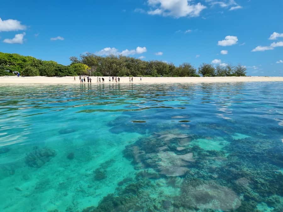 Town of 1770: Lady Musgrave Island Snorkelling Day Cruise - Why Lady Musgrave Island Feels Different
