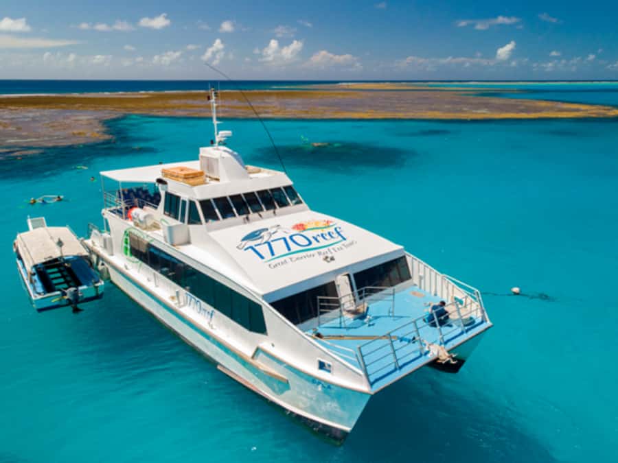Town of 1770: Lady Musgrave Island Snorkelling Day Cruise - Getting to 1770 for the Early Start